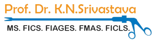 Dr K N Srivastava